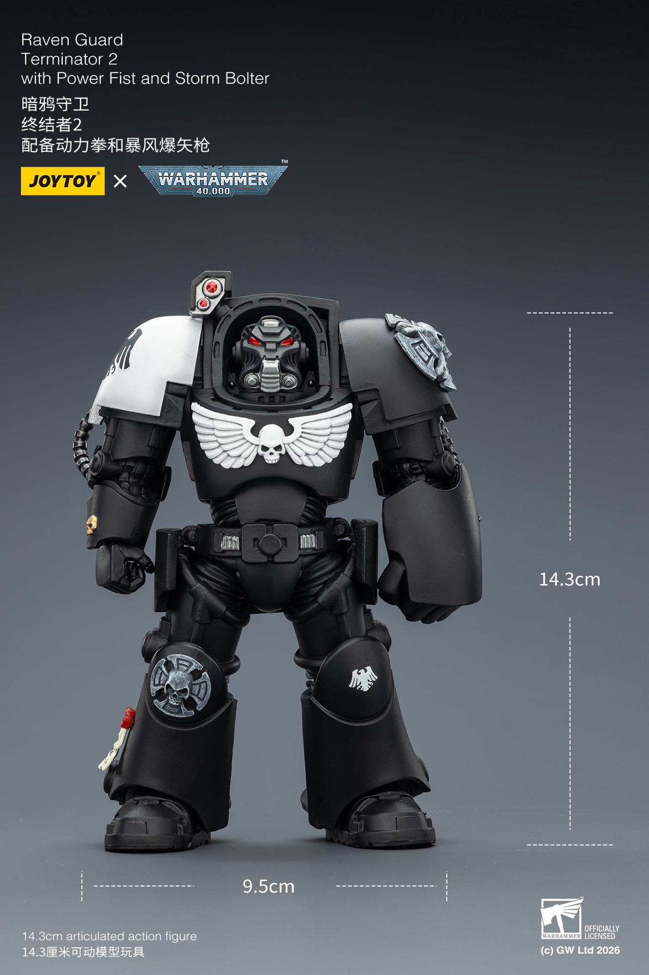 Raven Guard Terminator 2 with Power Fist and Storm Bolter - view 11