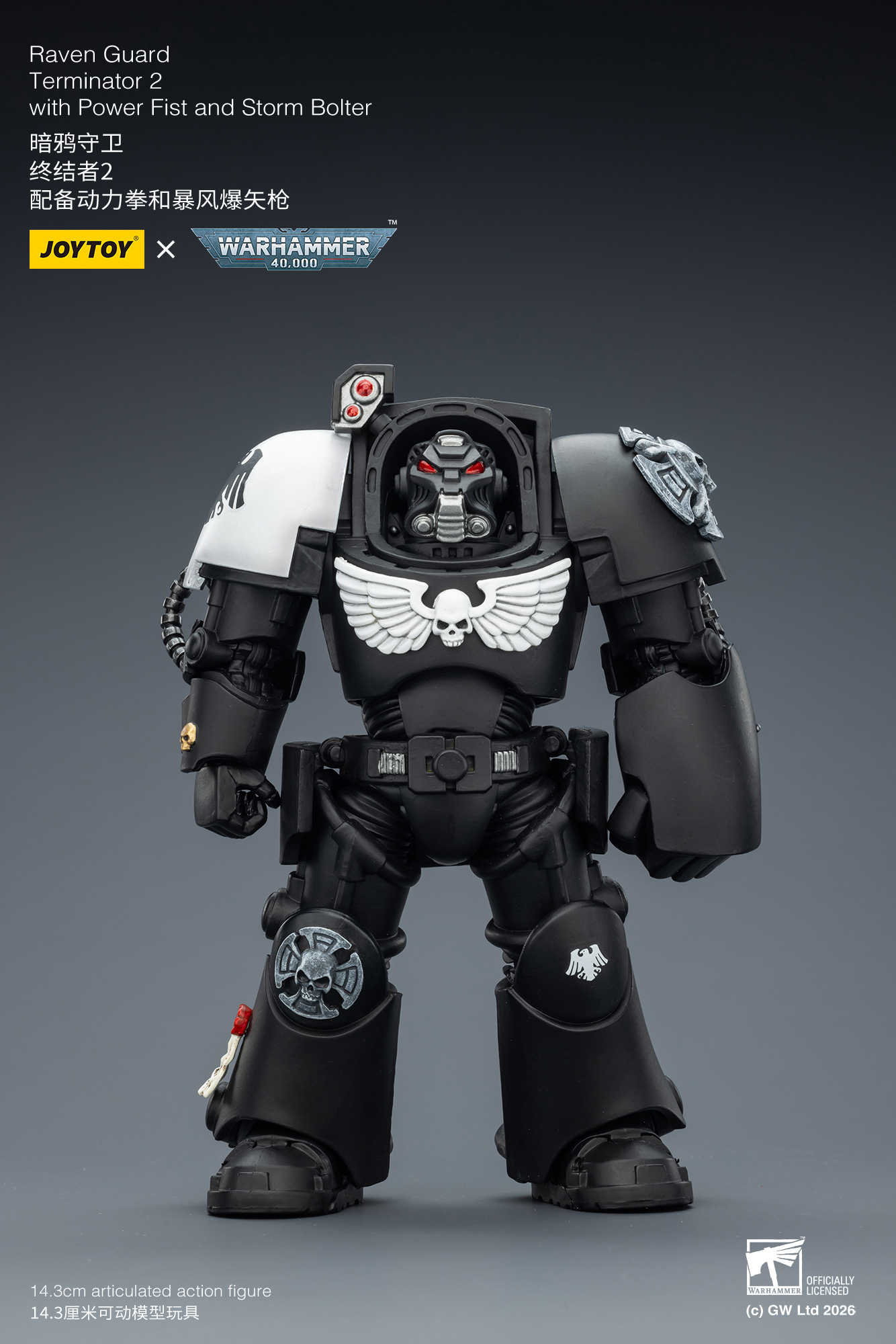 Raven Guard Terminator 2 with Power Fist and Storm Bolter - view 7