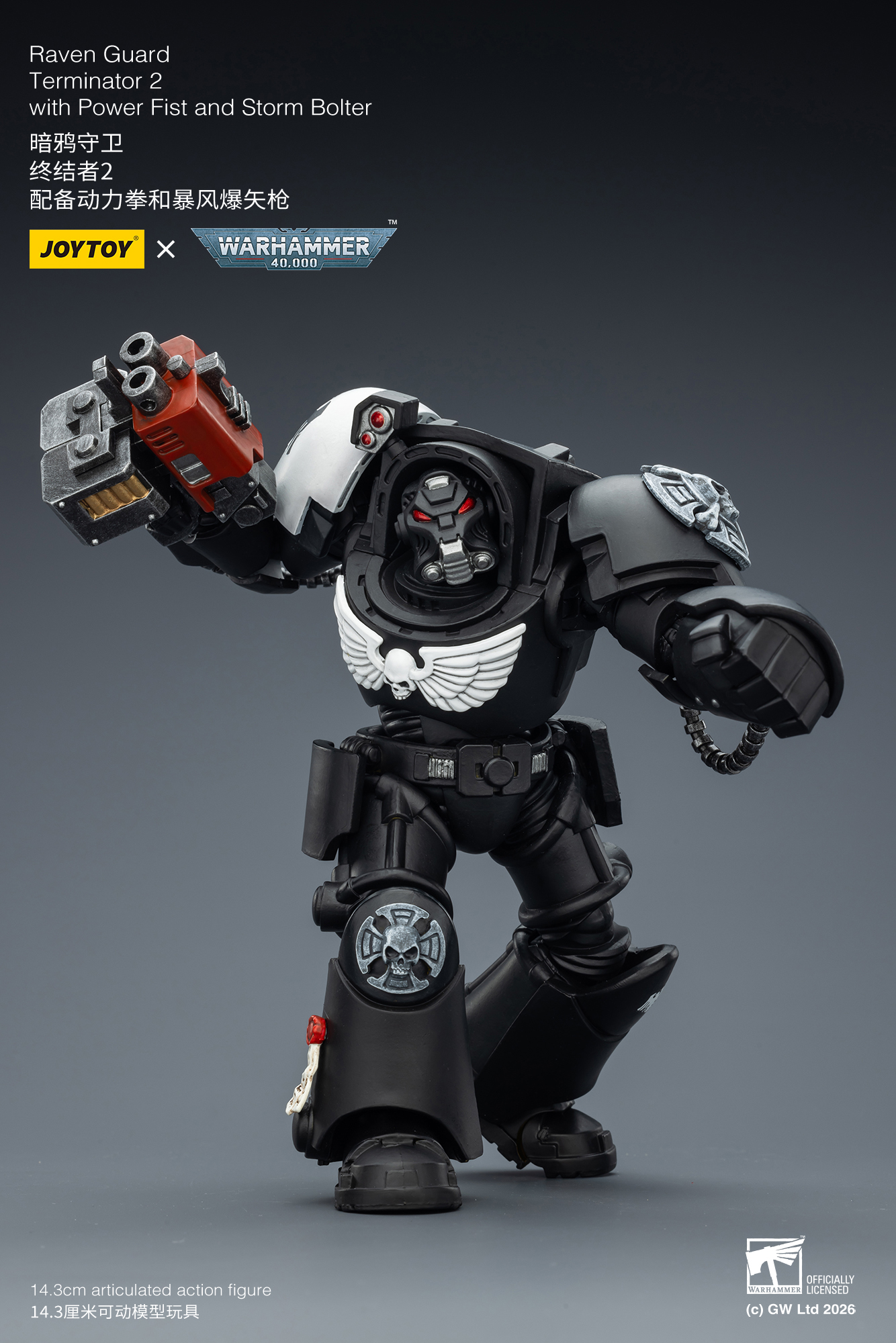 Raven Guard Terminator 2 with Power Fist and Storm Bolter - view 13