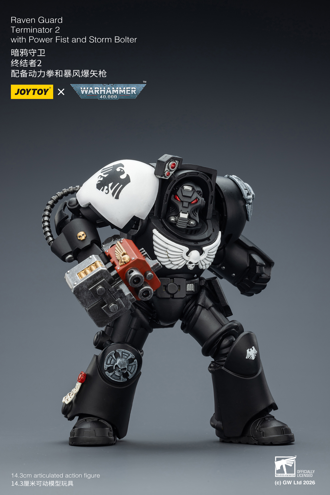 Raven Guard Terminator 2 with Power Fist and Storm Bolter - view 14