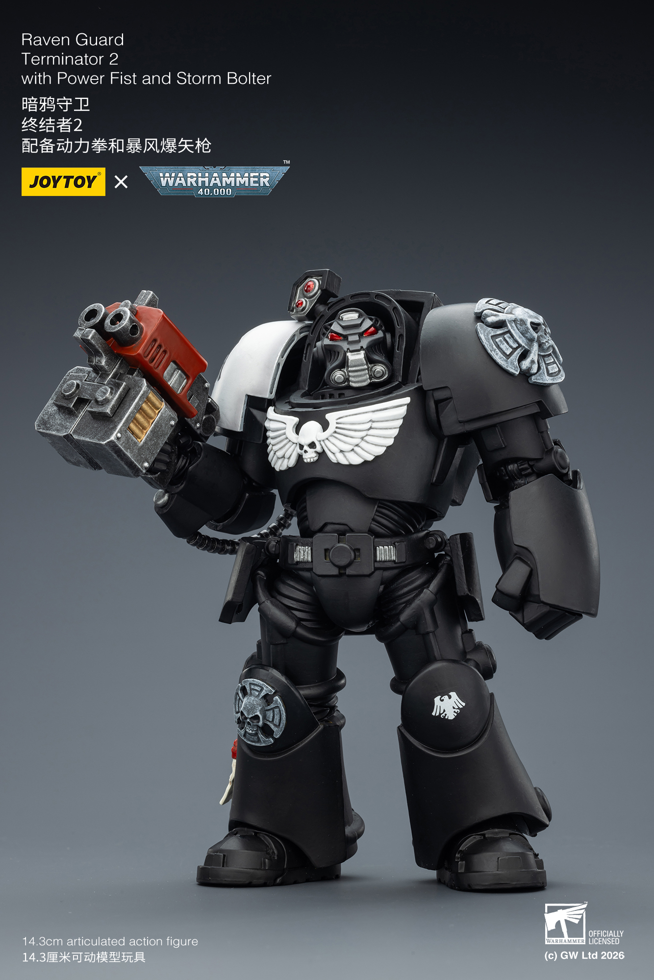 Raven Guard Terminator 2 with Power Fist and Storm Bolter - view 9