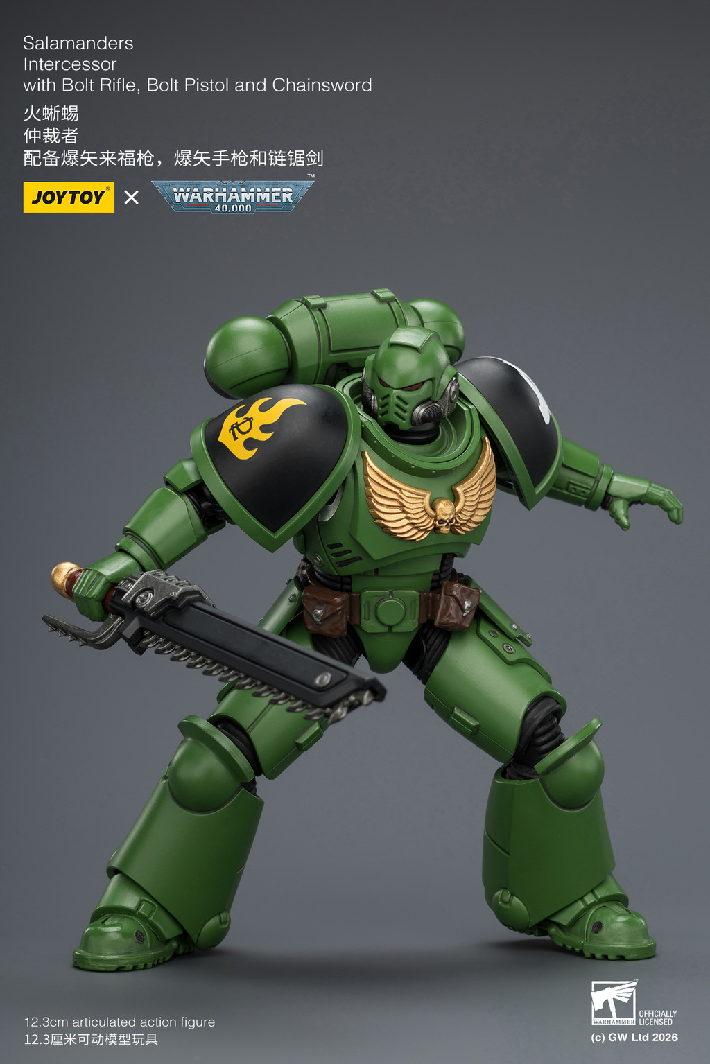 Salamanders Intercessor with Bolt Rifle, Bolt Pistol and Chainsword - view 16