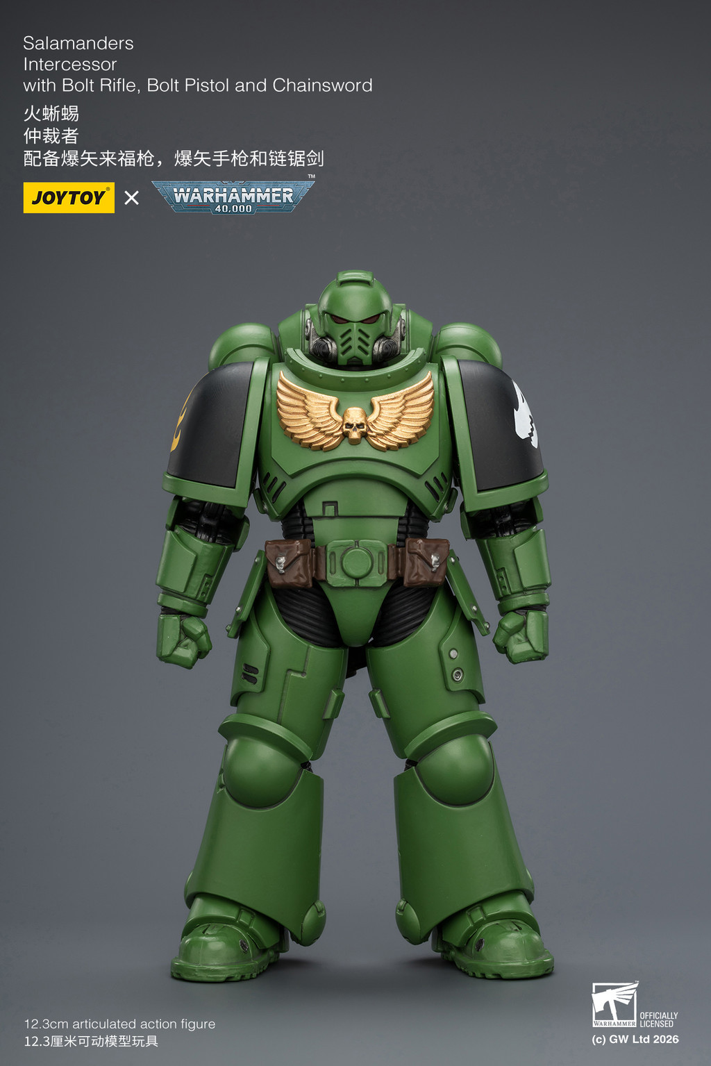 Salamanders Intercessor with Bolt Rifle, Bolt Pistol and Chainsword - view 8