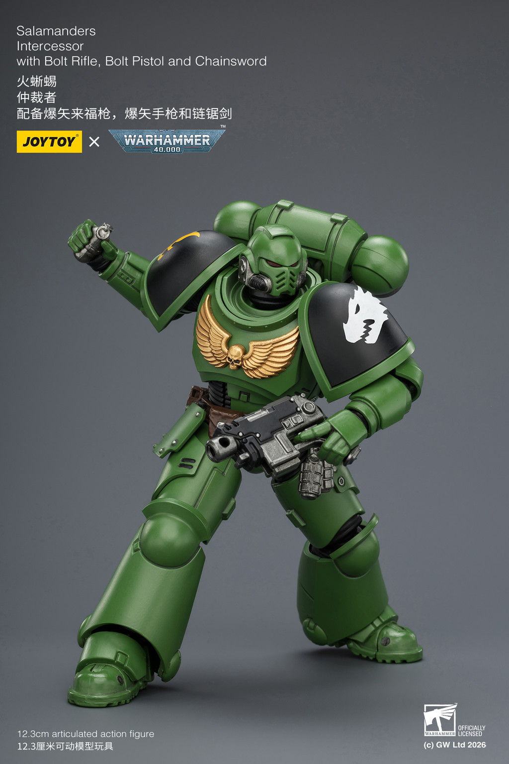 Salamanders Intercessor with Bolt Rifle, Bolt Pistol and Chainsword - view 15