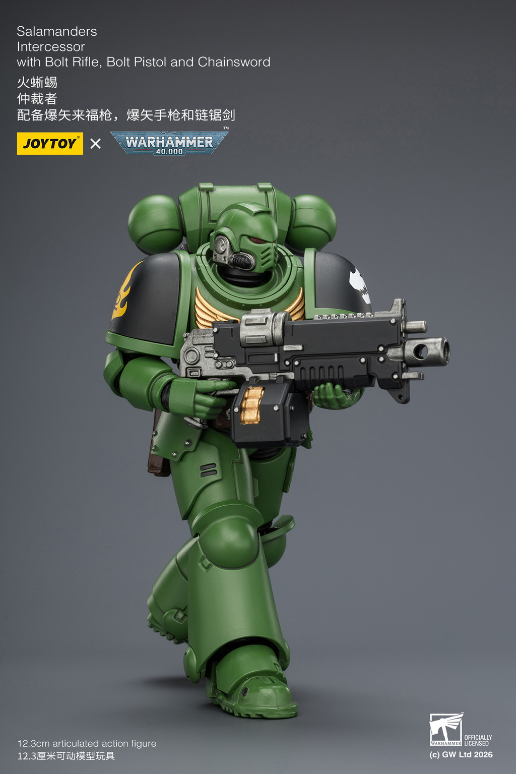 Salamanders Intercessor with Bolt Rifle, Bolt Pistol and Chainsword - view 12