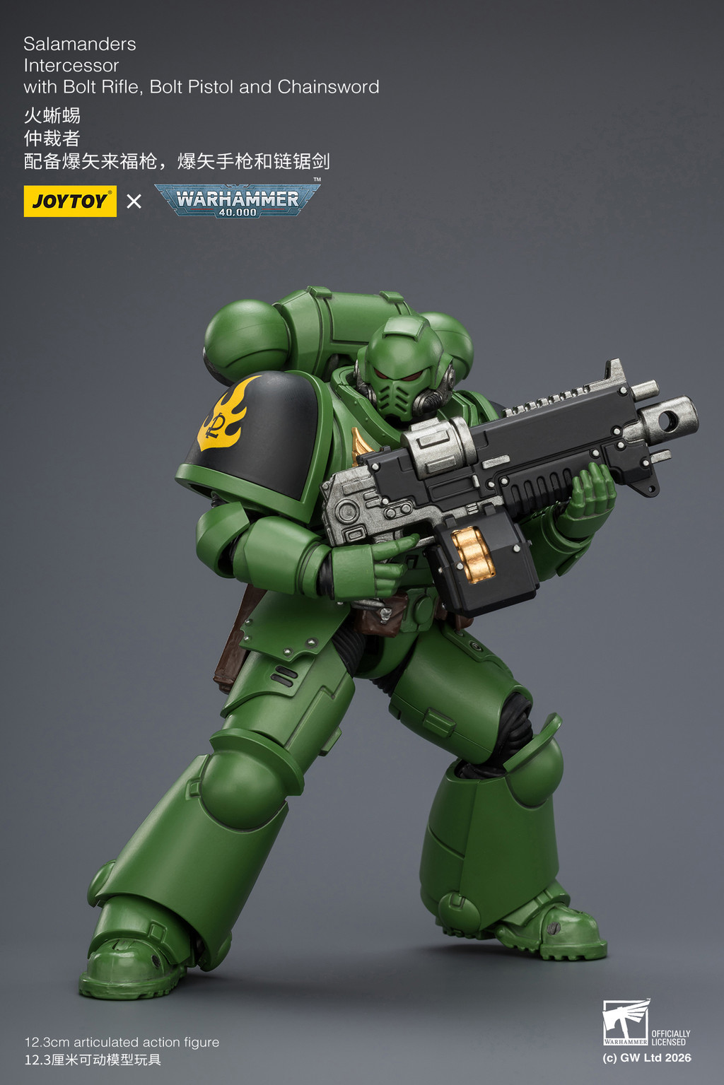 Salamanders Intercessor with Bolt Rifle, Bolt Pistol and Chainsword - view 13