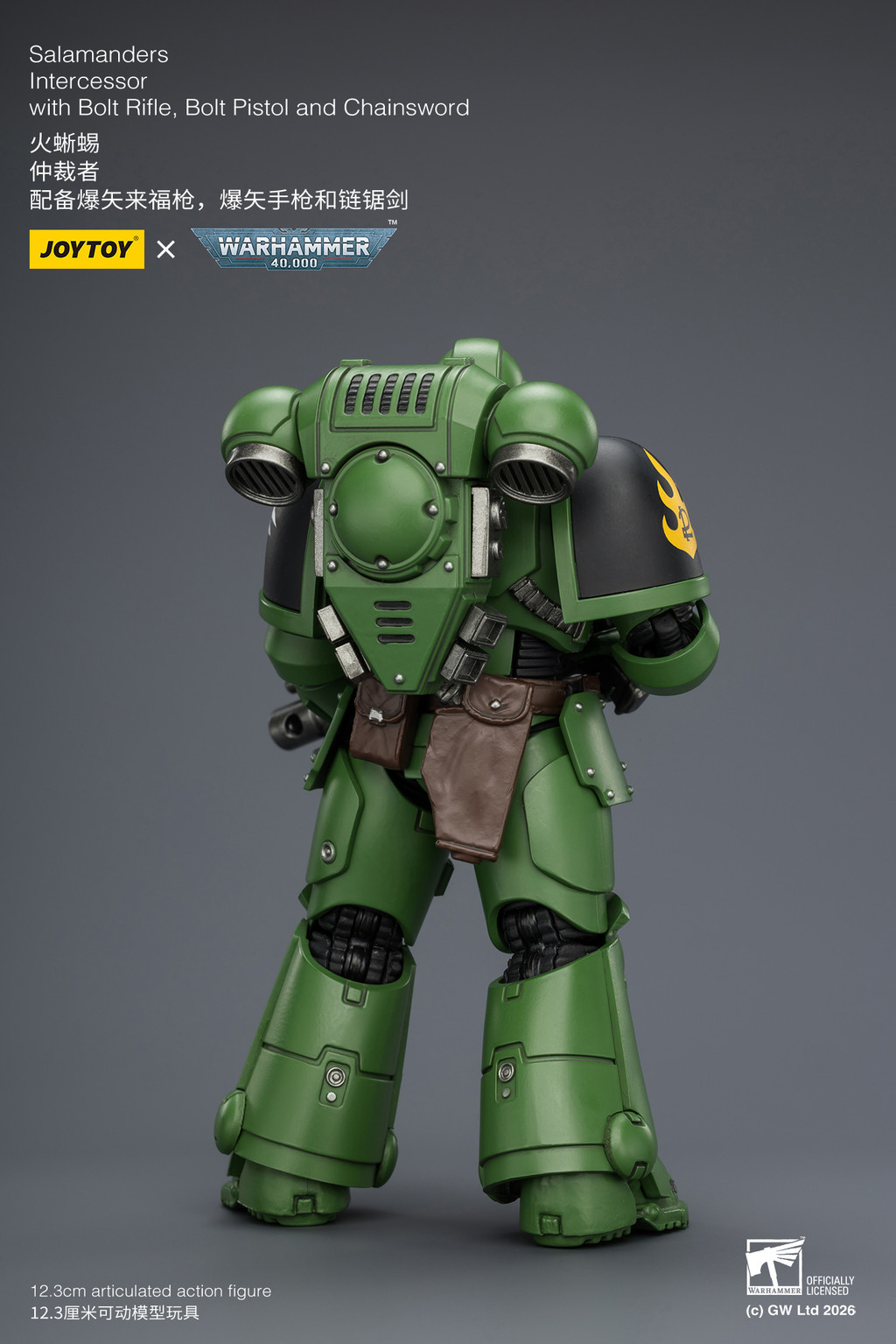 Salamanders Intercessor with Bolt Rifle, Bolt Pistol and Chainsword - view 11