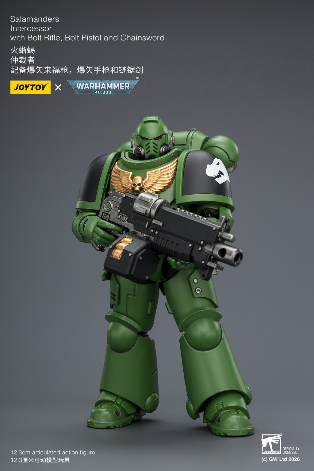 Salamanders Intercessor with Bolt Rifle, Bolt Pistol and Chainsword - view 10