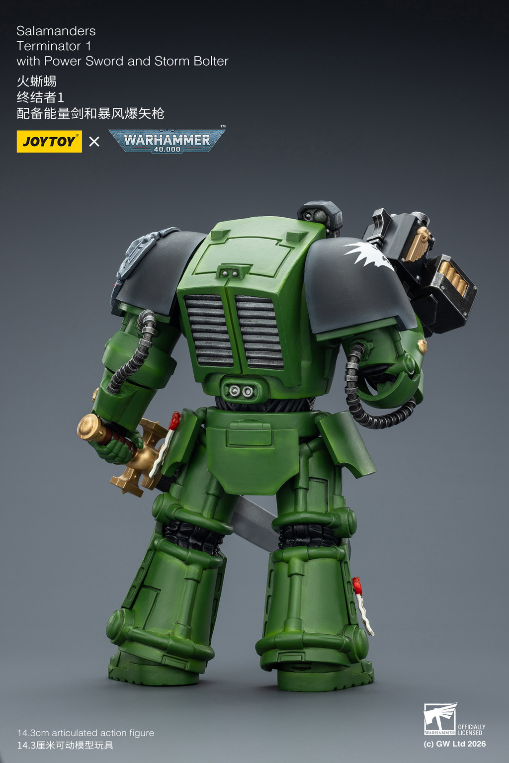 Salamanders Terminator 1 with Power Sword and Storm Bolter - view 11
