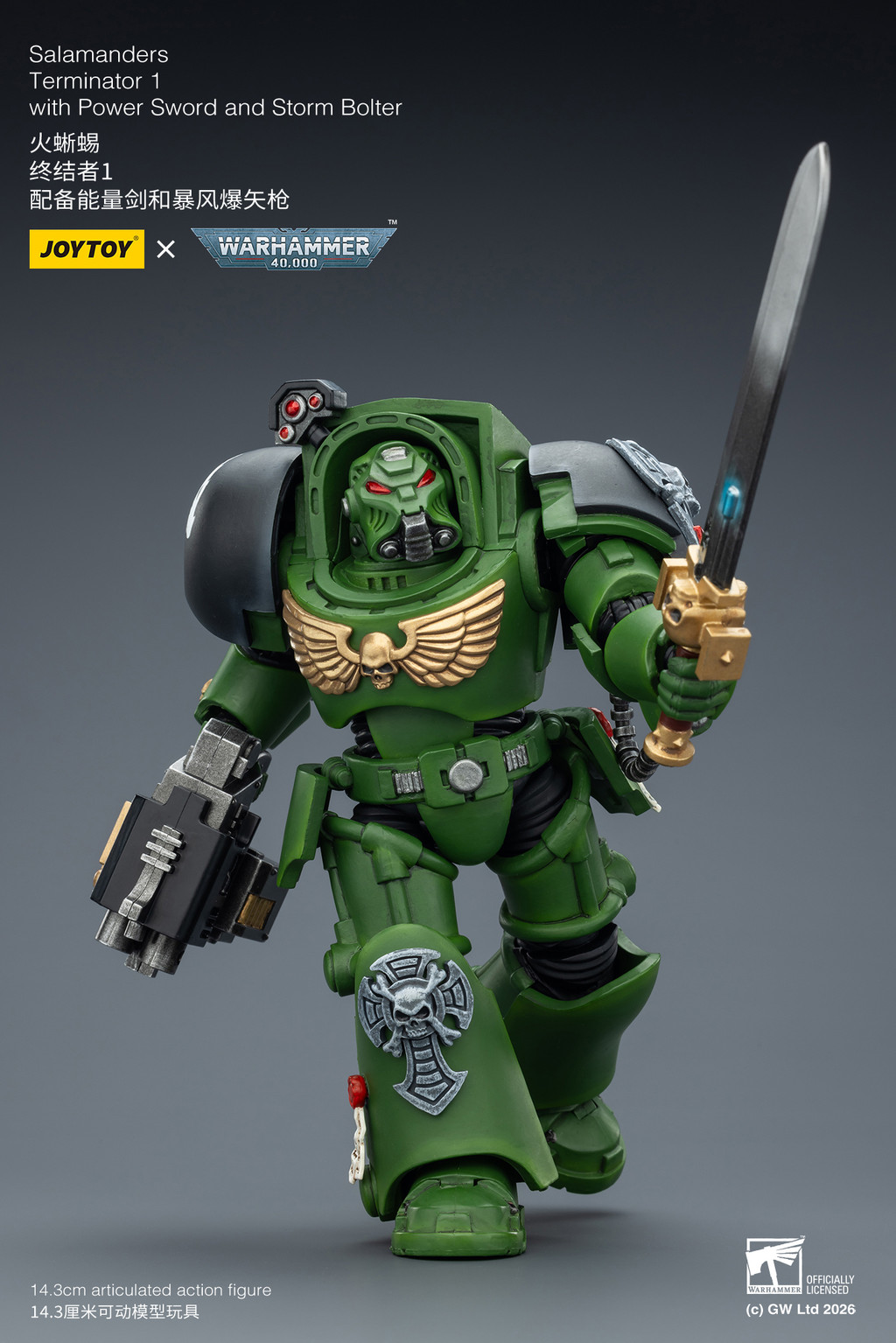 Salamanders Terminator 1 with Power Sword and Storm Bolter - view 12