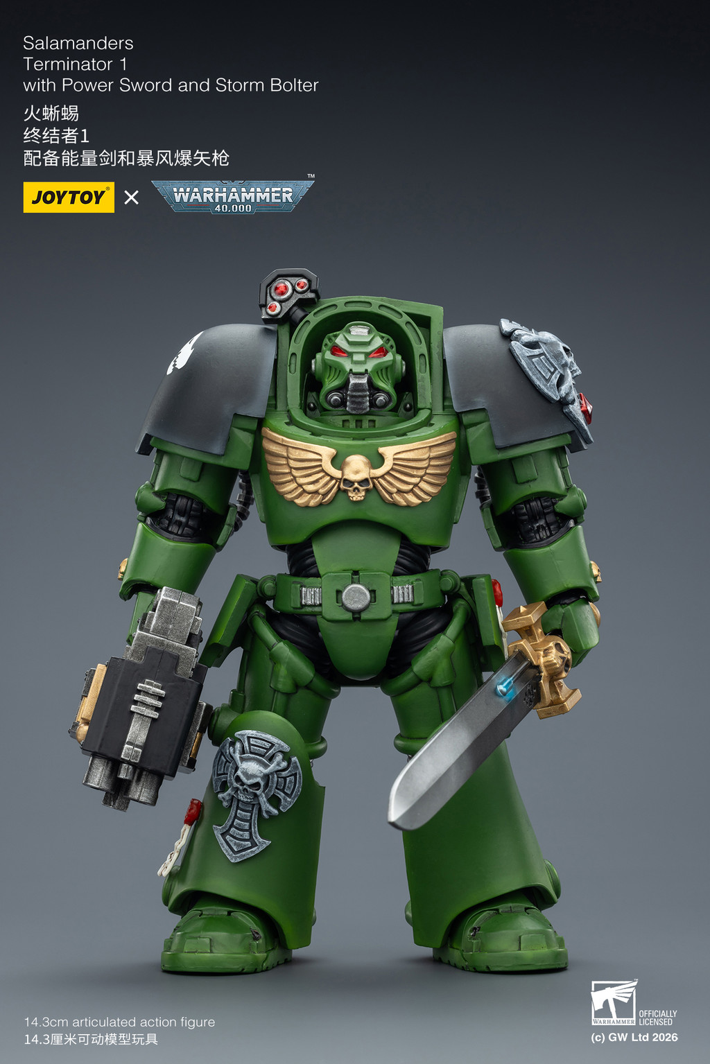 Salamanders Terminator 1 with Power Sword and Storm Bolter - view 9