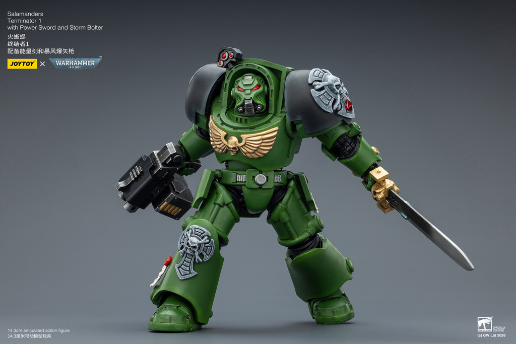 Salamanders Terminator 1 with Power Sword and Storm Bolter - view 13