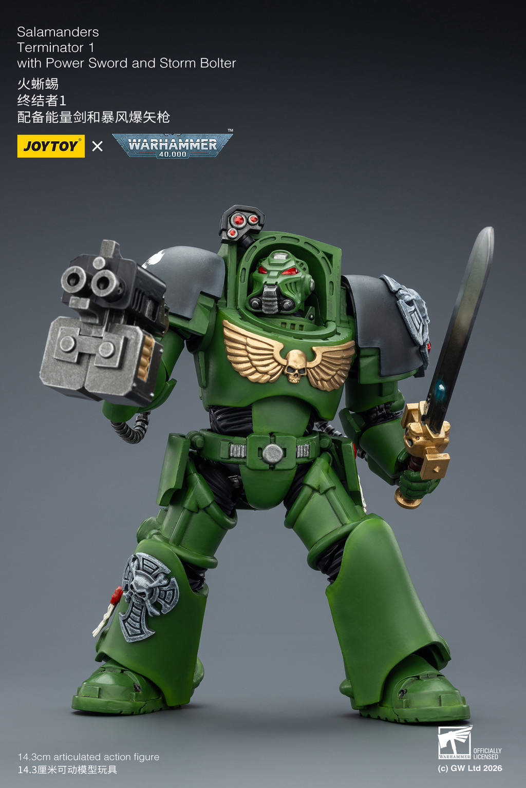 Salamanders Terminator 1 with Power Sword and Storm Bolter - view 15