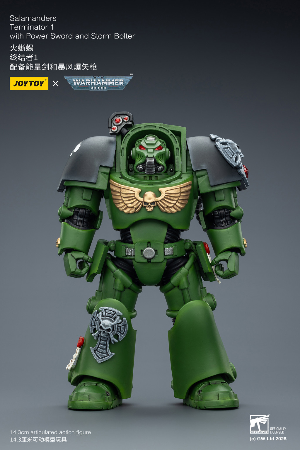 Salamanders Terminator 1 with Power Sword and Storm Bolter - view 8