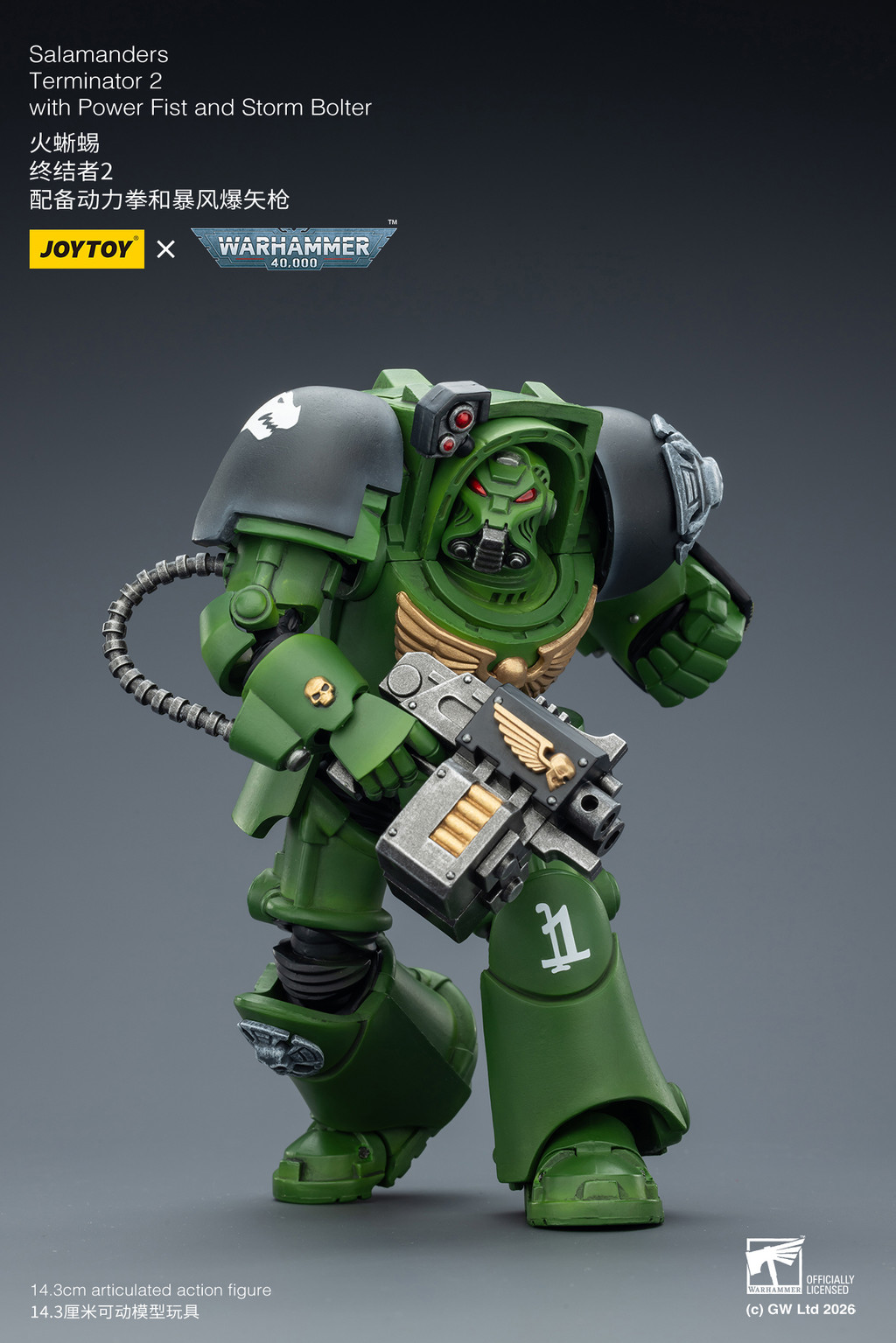 Salamanders Terminator 2 with Power Fist and Storm Bolter - view 11