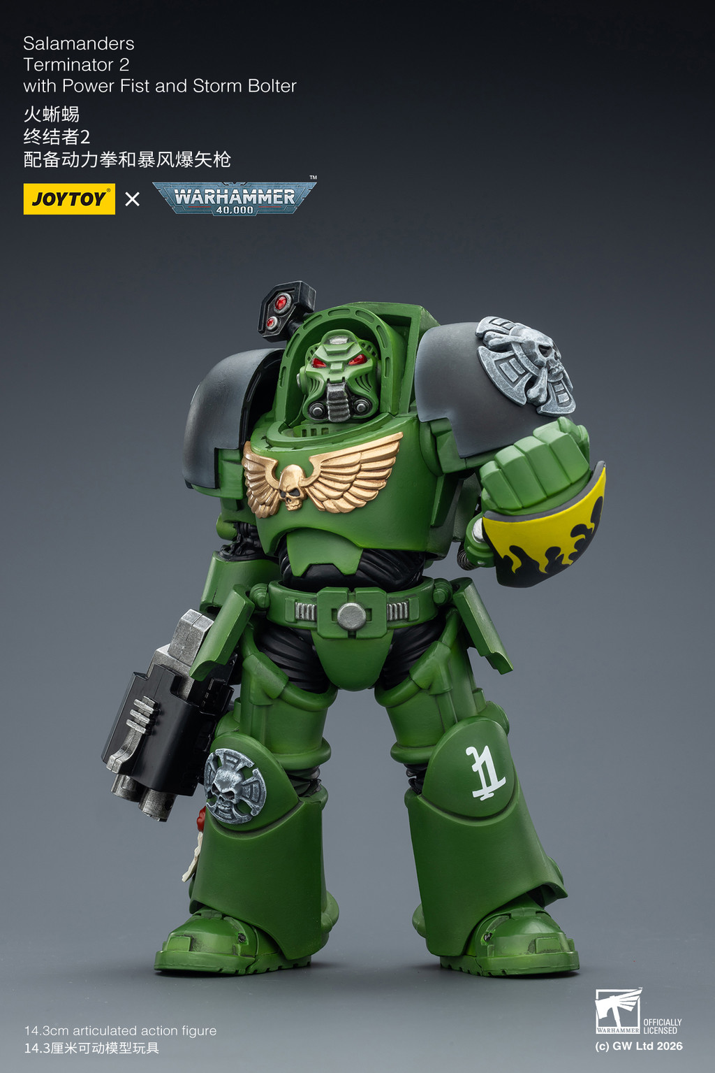Salamanders Terminator 2 with Power Fist and Storm Bolter - view 9