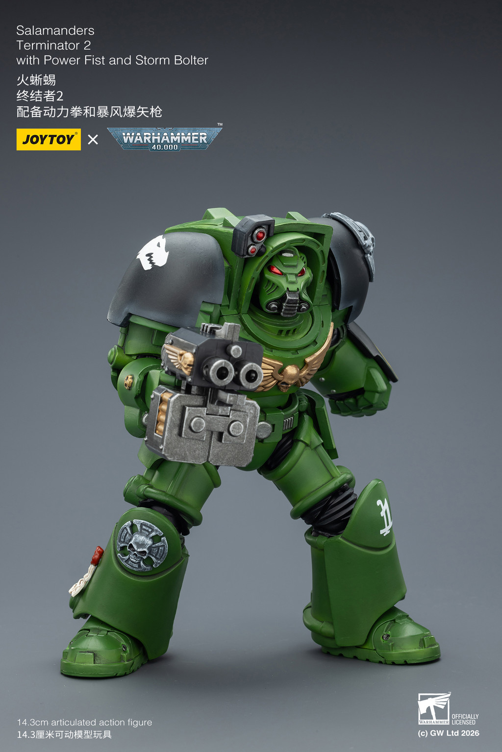 Salamanders Terminator 2 with Power Fist and Storm Bolter - view 12