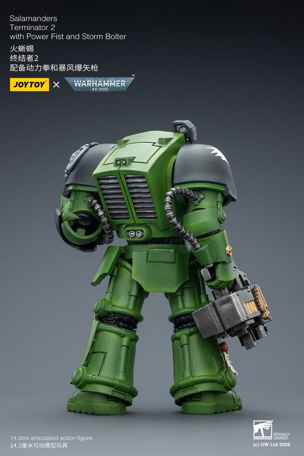Salamanders Terminator 2 with Power Fist and Storm Bolter - view 10