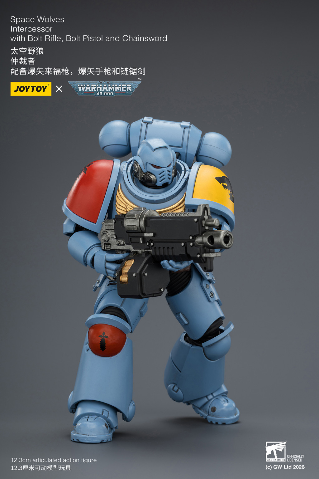 Space Wolves Intercessor with Bolt Rifle, Bolt Pistol and Chainsword - view 13