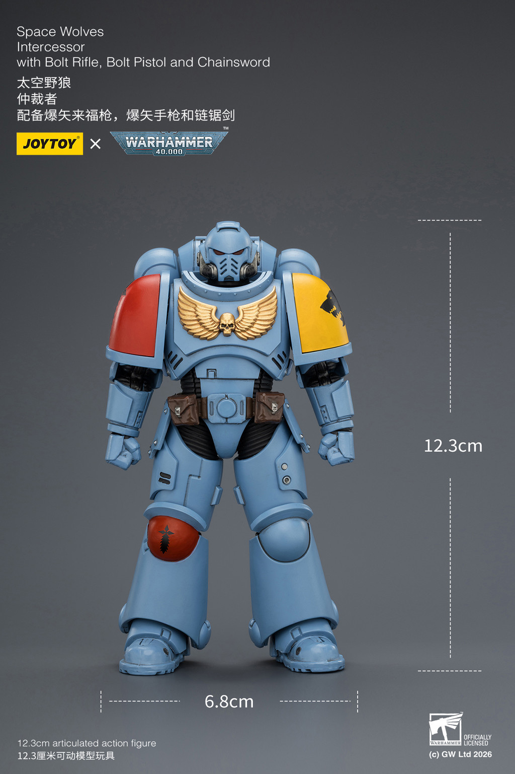 Space Wolves Intercessor with Bolt Rifle, Bolt Pistol and Chainsword - view 19