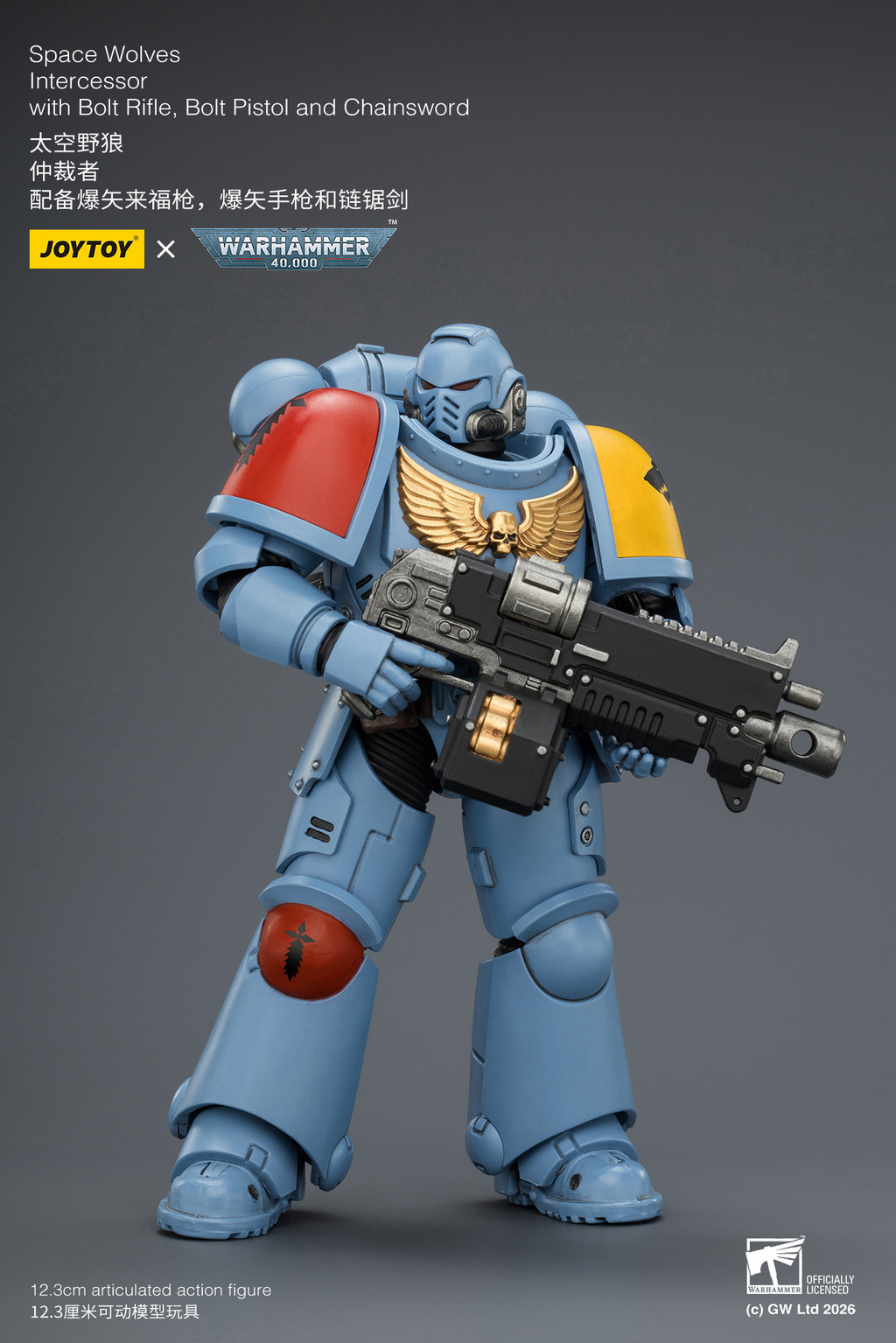 Space Wolves Intercessor with Bolt Rifle, Bolt Pistol and Chainsword - view 11