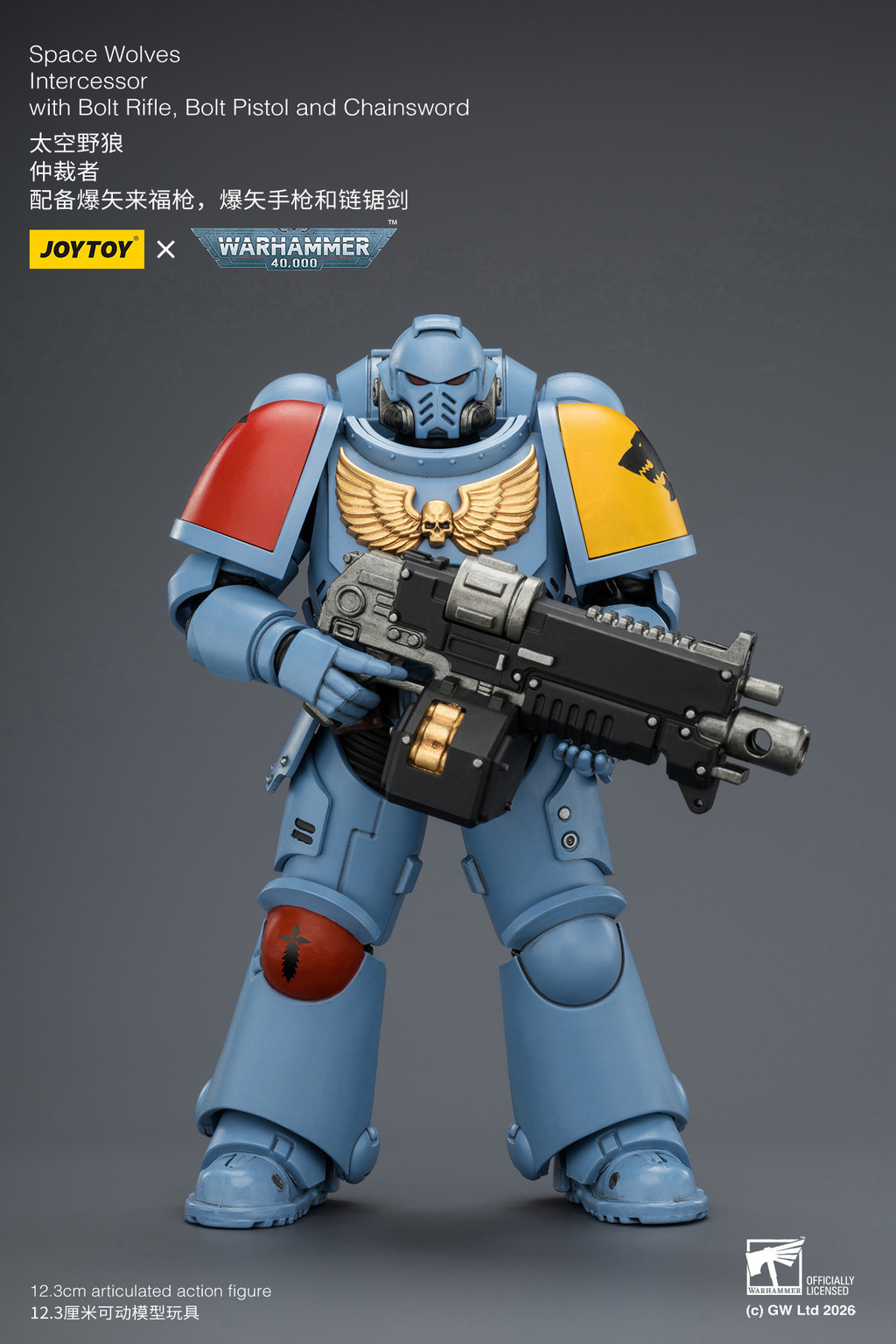 Space Wolves Intercessor with Bolt Rifle, Bolt Pistol and Chainsword - view 10