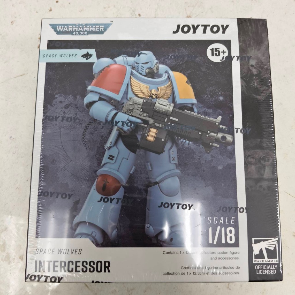 Space Wolves Intercessor with Bolt Rifle, Bolt Pistol and Chainsword - main product image