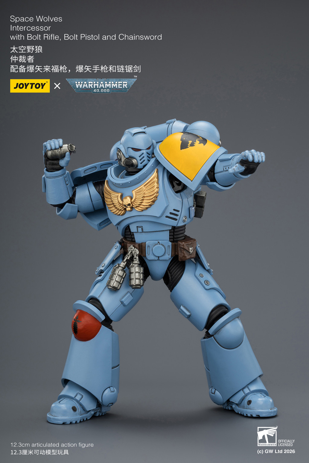 Space Wolves Intercessor with Bolt Rifle, Bolt Pistol and Chainsword - view 17