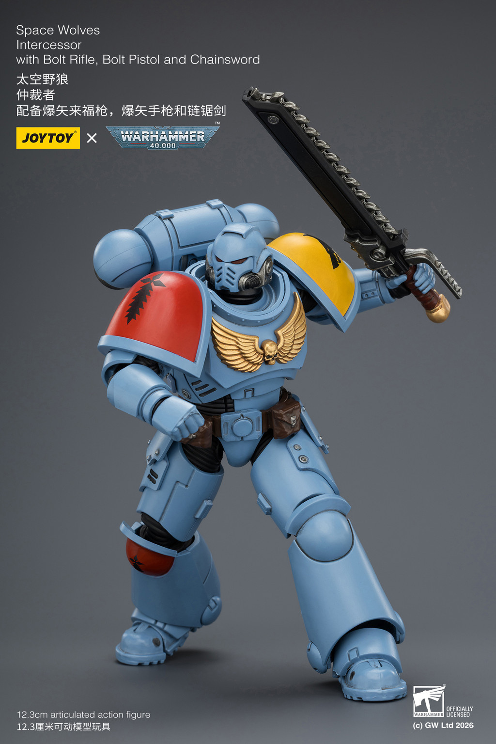 Space Wolves Intercessor with Bolt Rifle, Bolt Pistol and Chainsword - view 16