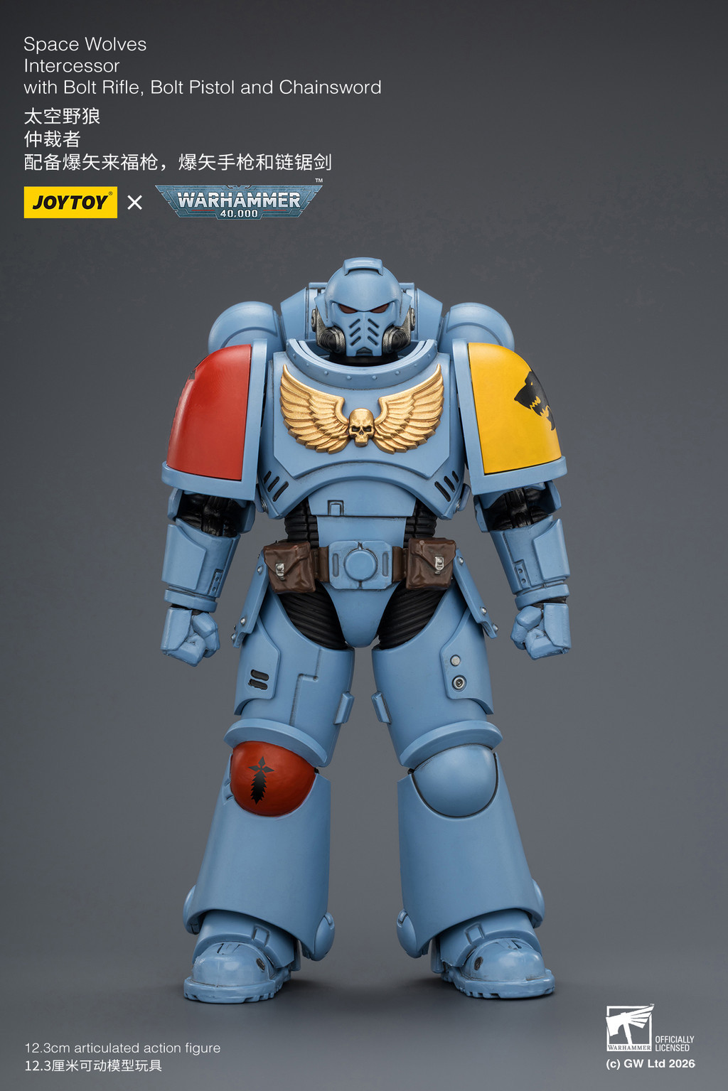 Space Wolves Intercessor with Bolt Rifle, Bolt Pistol and Chainsword - view 9