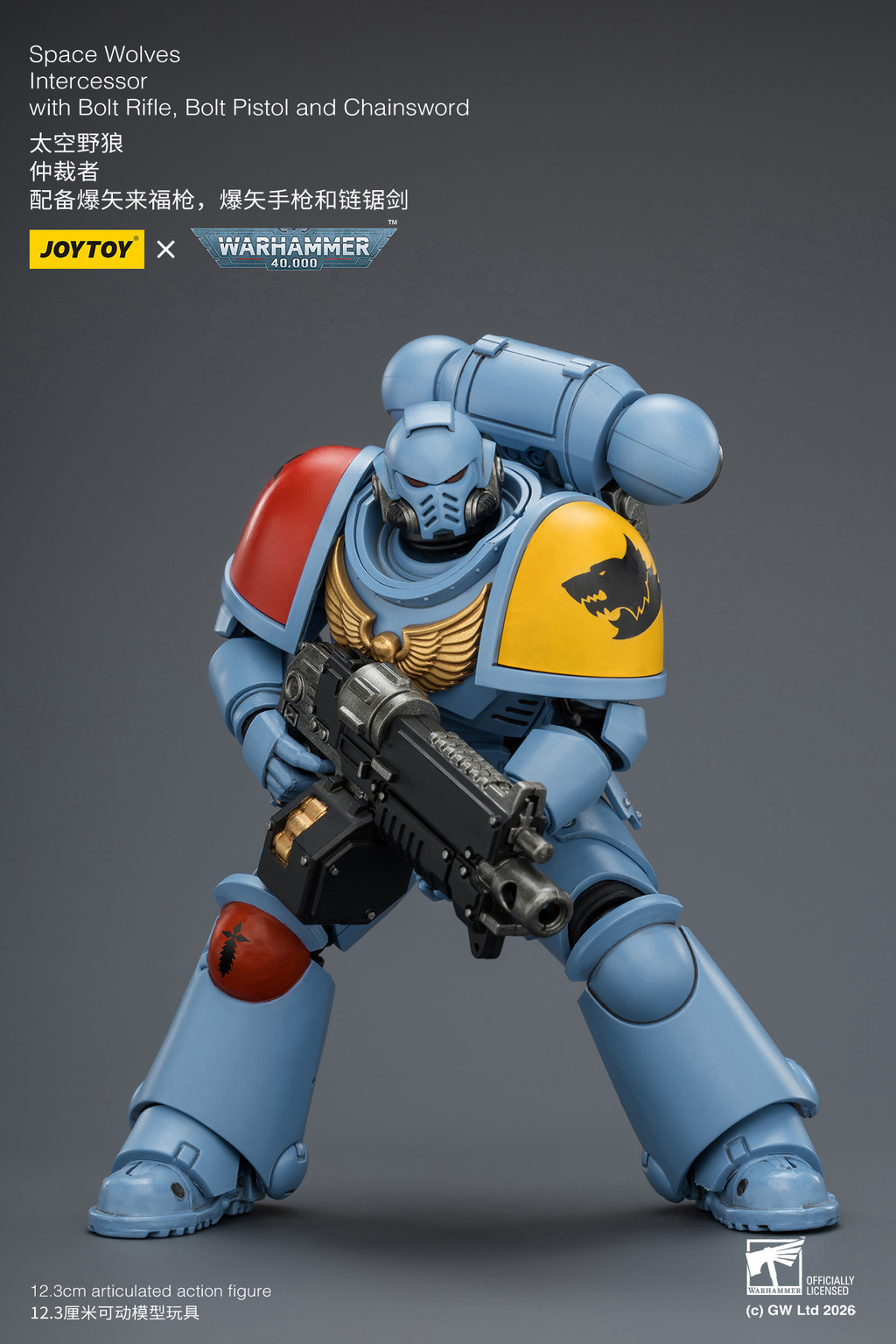 Space Wolves Intercessor with Bolt Rifle, Bolt Pistol and Chainsword - view 14