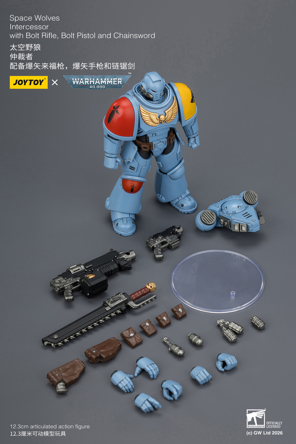 Space Wolves Intercessor with Bolt Rifle, Bolt Pistol and Chainsword - view 18