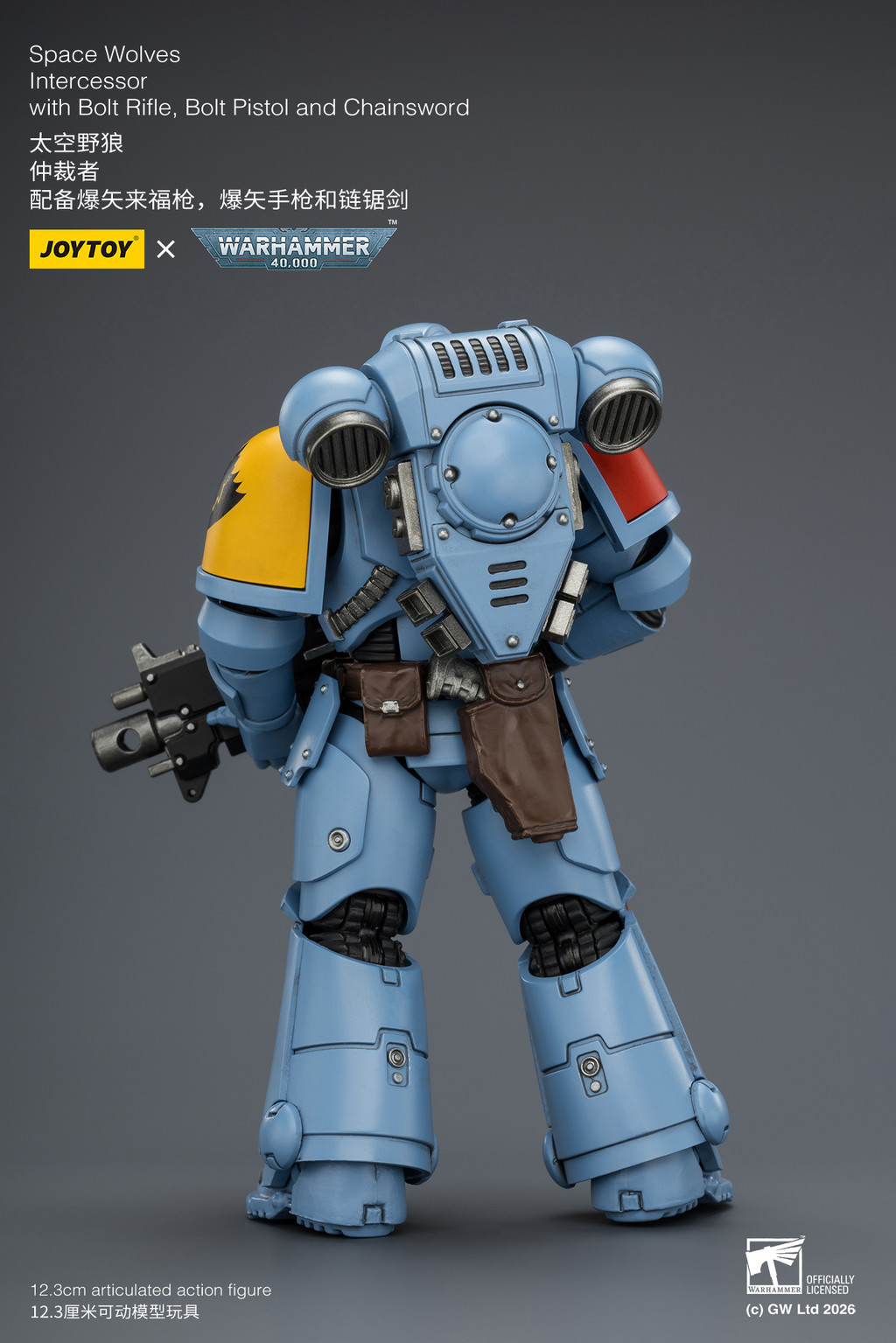 Space Wolves Intercessor with Bolt Rifle, Bolt Pistol and Chainsword - view 12