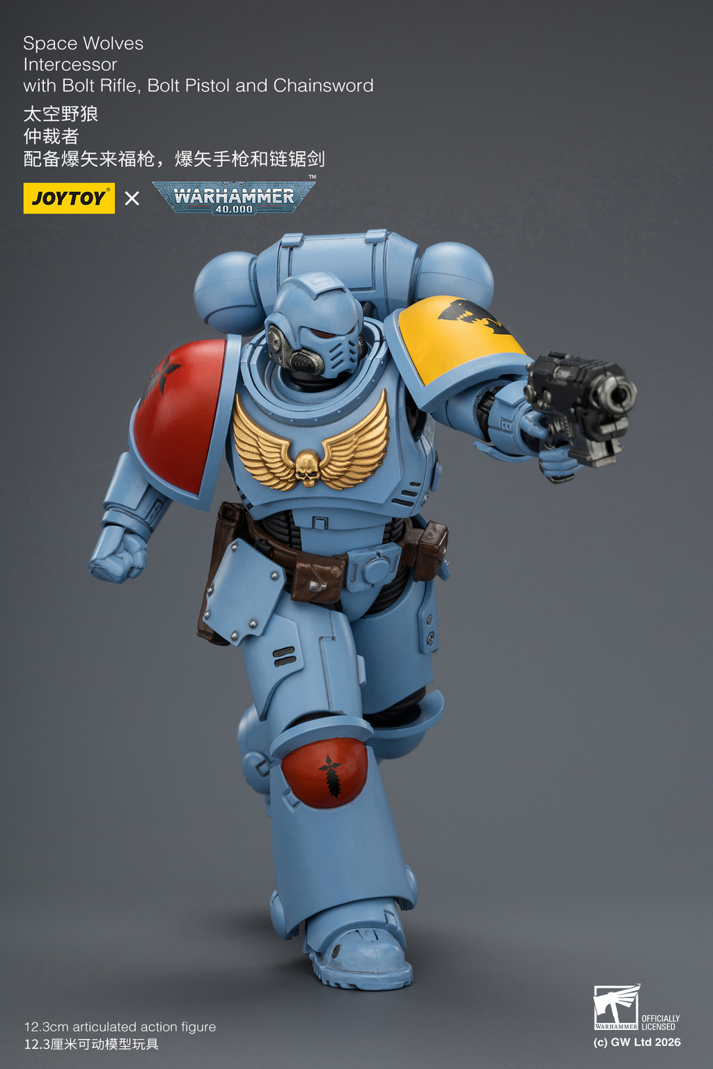Space Wolves Intercessor with Bolt Rifle, Bolt Pistol and Chainsword - view 15