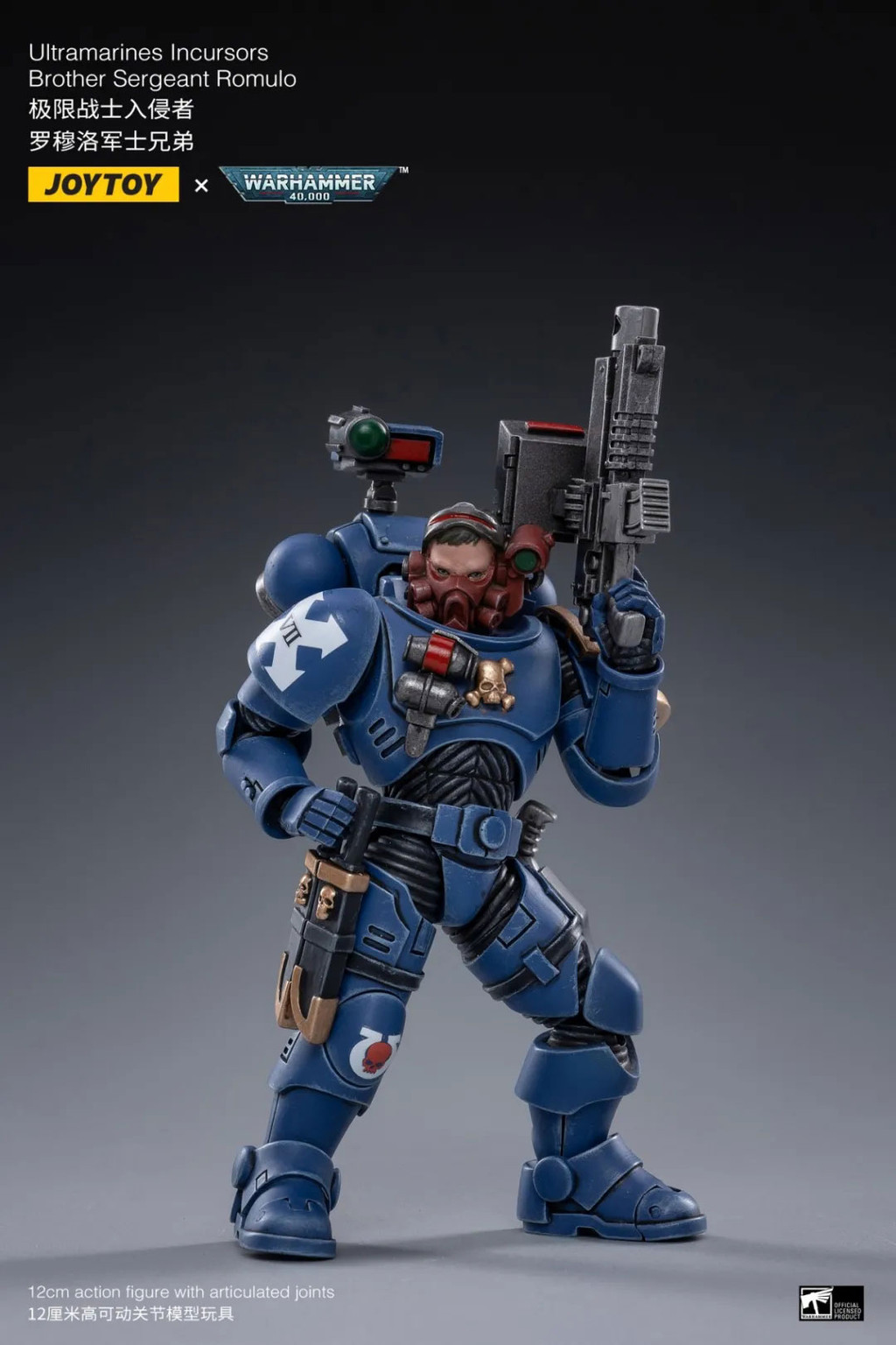 ULTRAMARINES INCURSORS - view 8