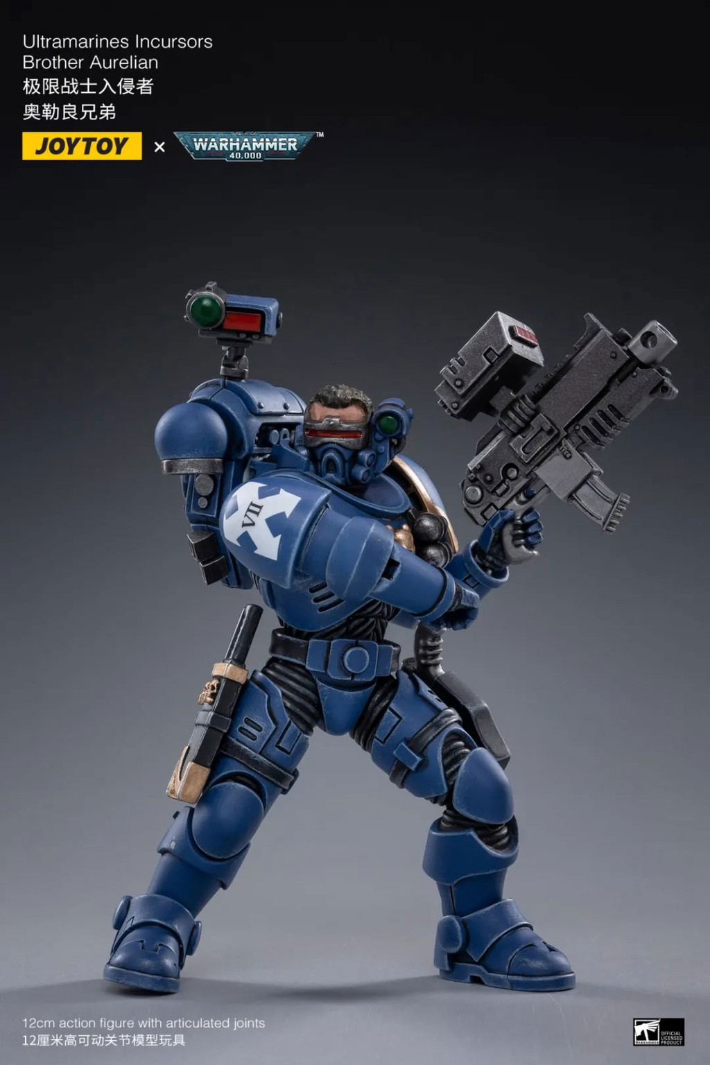 ULTRAMARINES INCURSORS - view 11
