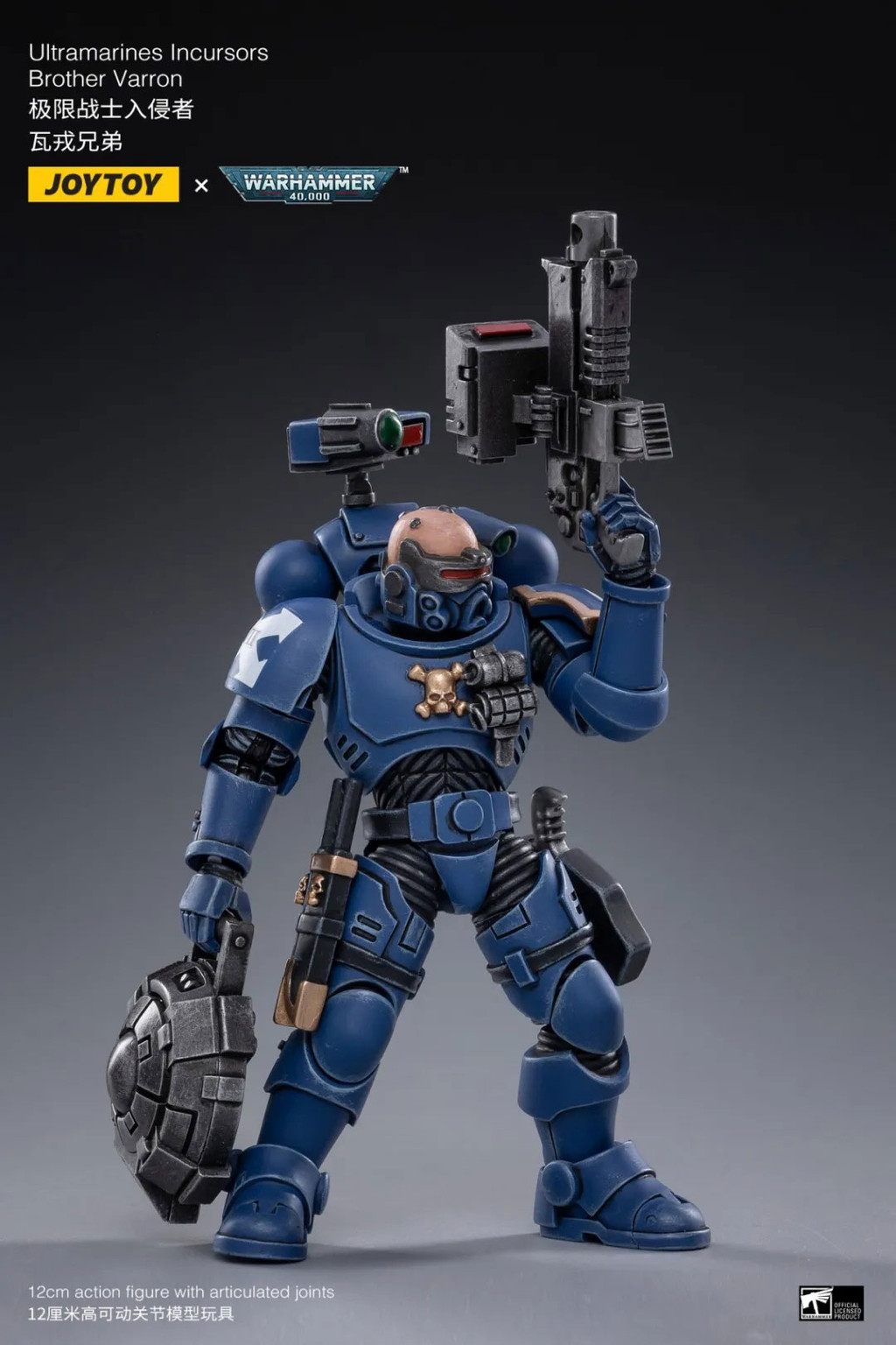 ULTRAMARINES INCURSORS - view 10