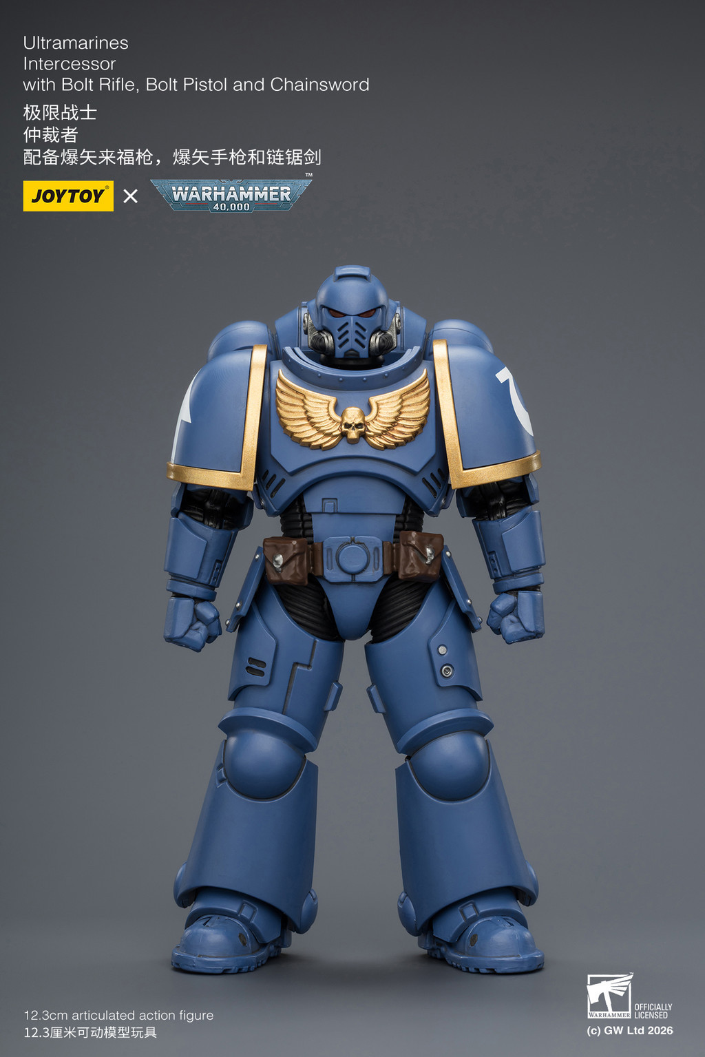 Ultramarines Intercessor with Bolt Rifle, Bolt Pistol and Chainsword - view 9