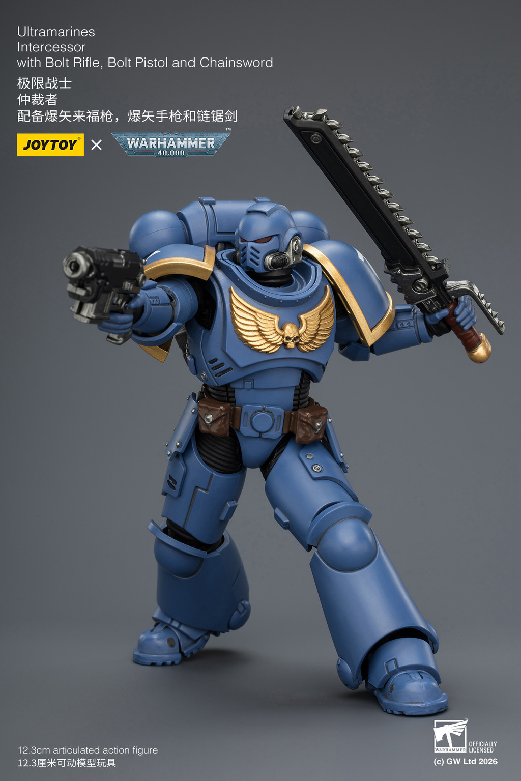 Ultramarines Intercessor with Bolt Rifle, Bolt Pistol and Chainsword - view 17