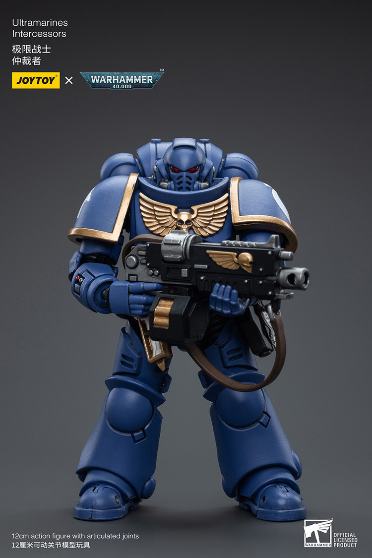 Ultramarines Intercessors - view 7