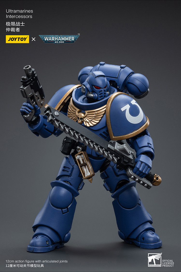 Ultramarines Intercessors - view 9
