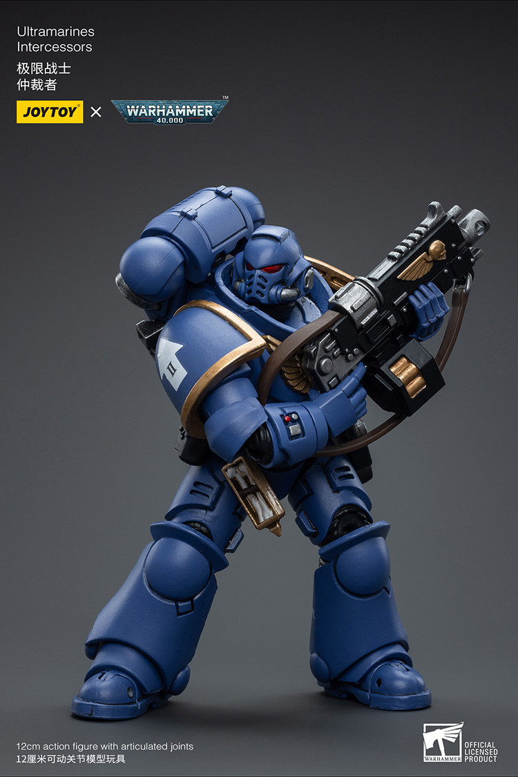 Ultramarines Intercessors - view 10