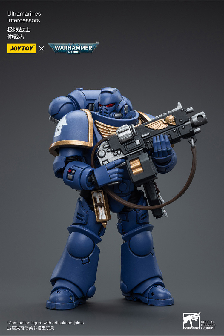 Ultramarines Intercessors - view 13
