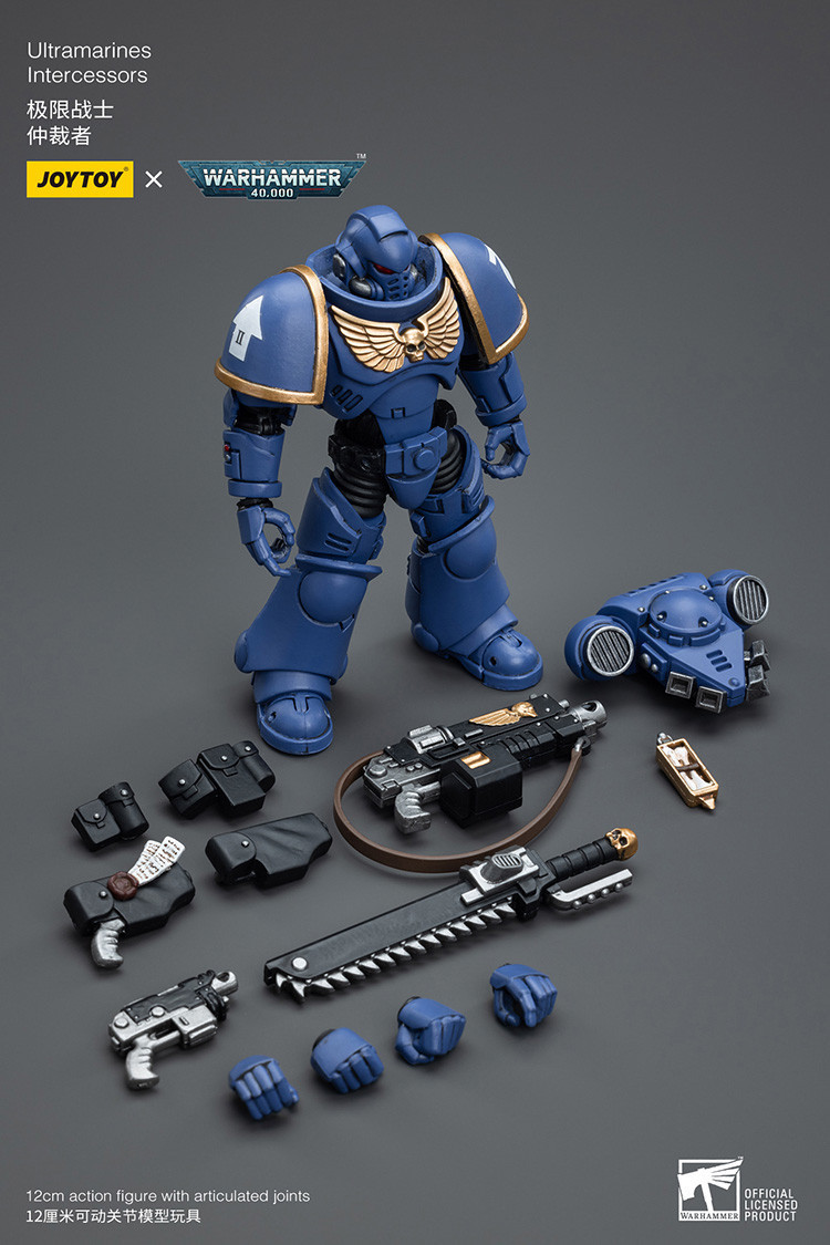 Ultramarines Intercessors - view 15