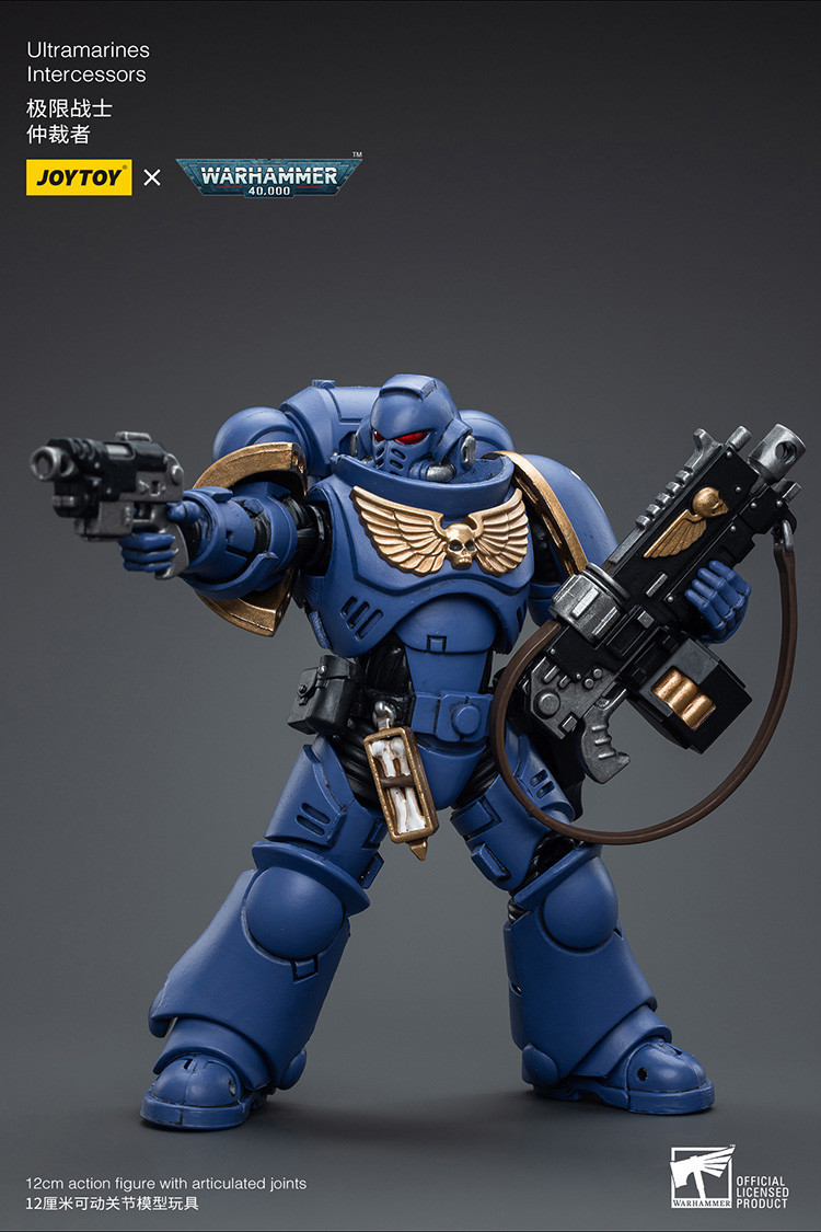 Ultramarines Intercessors - view 11