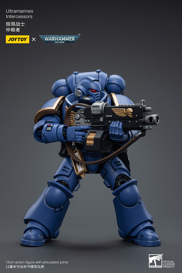 Ultramarines Intercessors - view 12