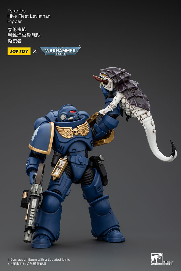 Ultramarines Intercessors - view 14