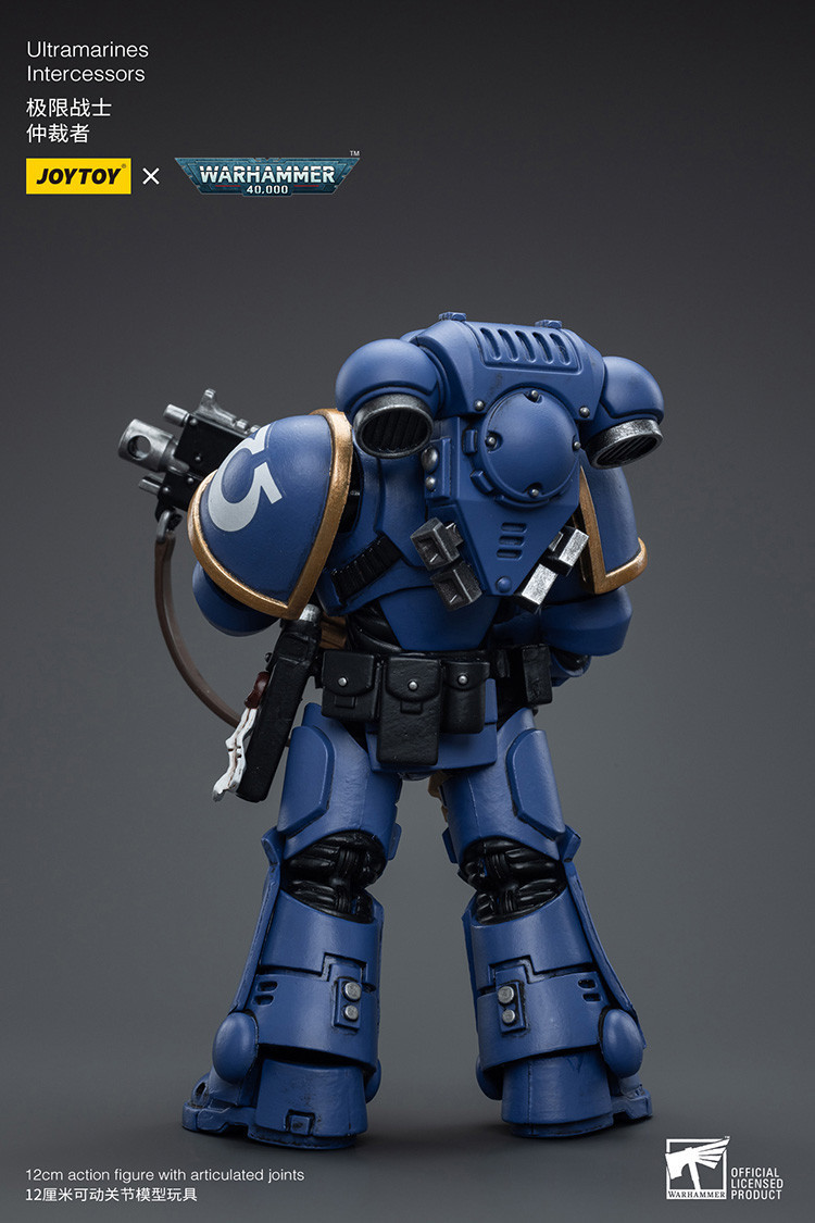 Ultramarines Intercessors - view 8