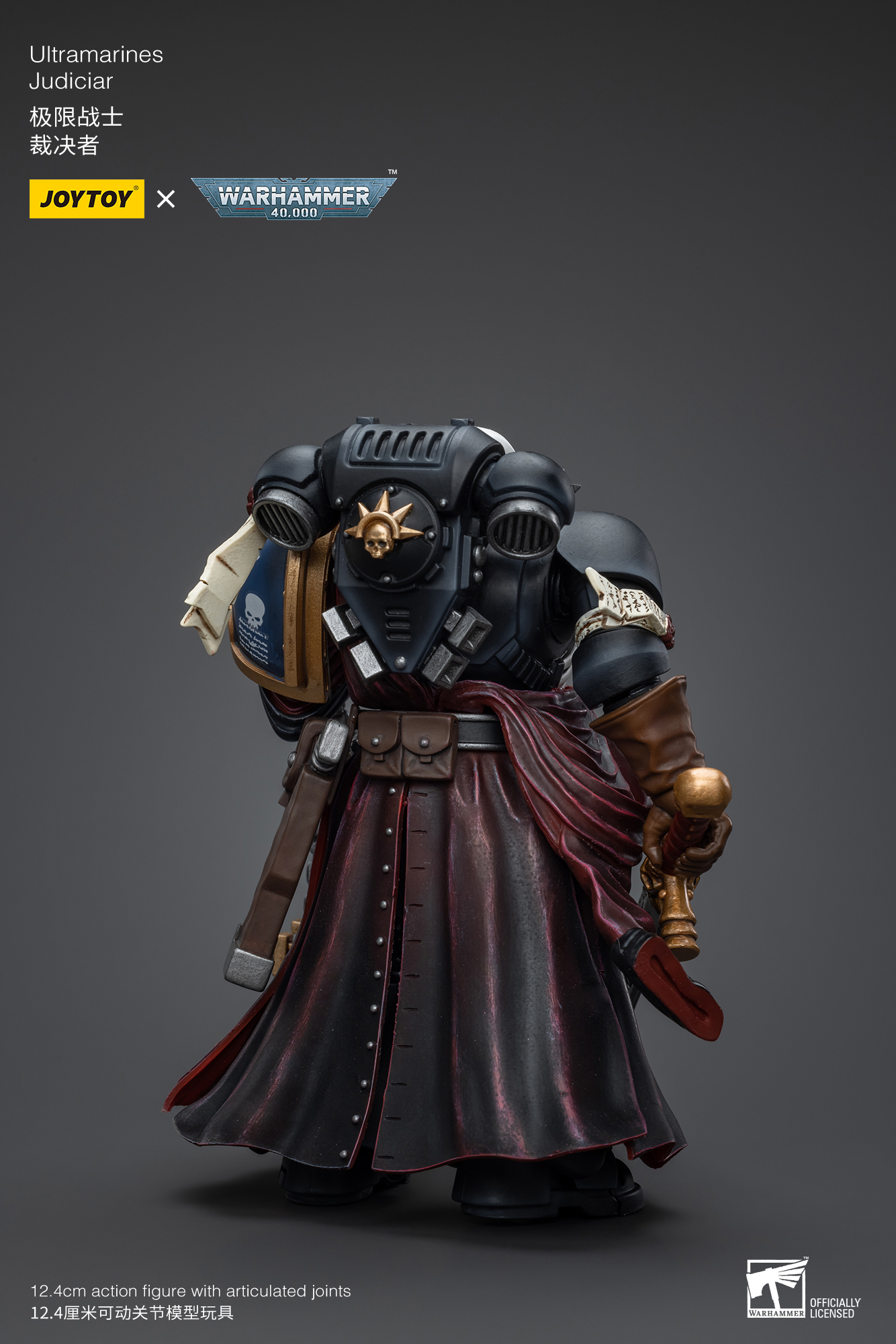 Ultramarines Judiciar - view 7