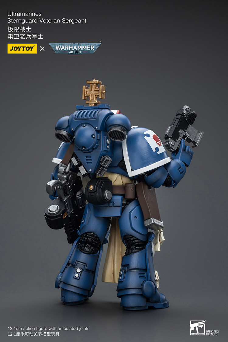 Ultramarines Sternguard Veteran Sergeant - view 8